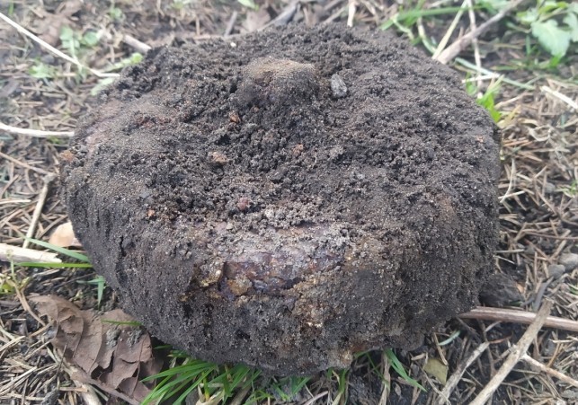 mina przeciwpiechotna