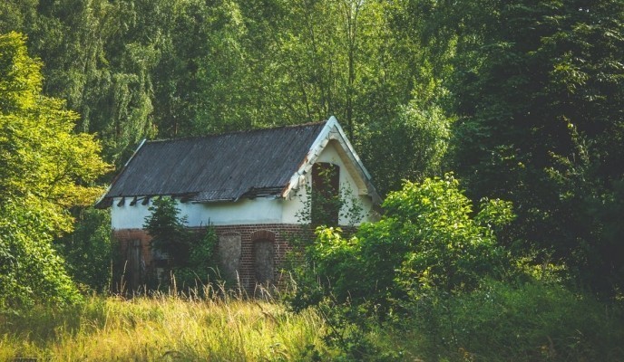 pexels-photo-1729156