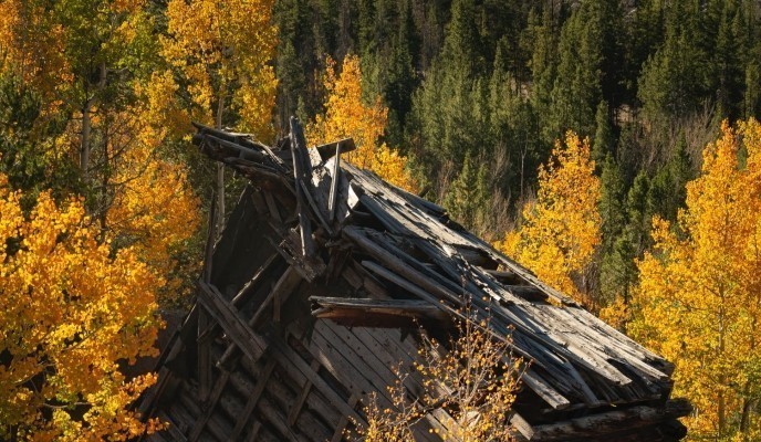 pexels-photo-5662787