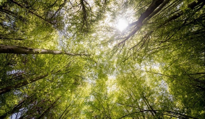 pexels-photo-566496_zmien rozmiary