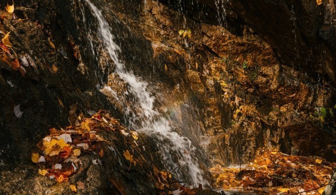 pexels-photo-5876396