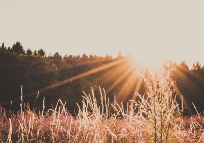 średniowieczne mazowieckie cmentarzyska