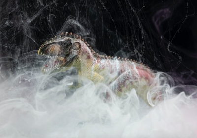 Skamieliny Aetozaury 